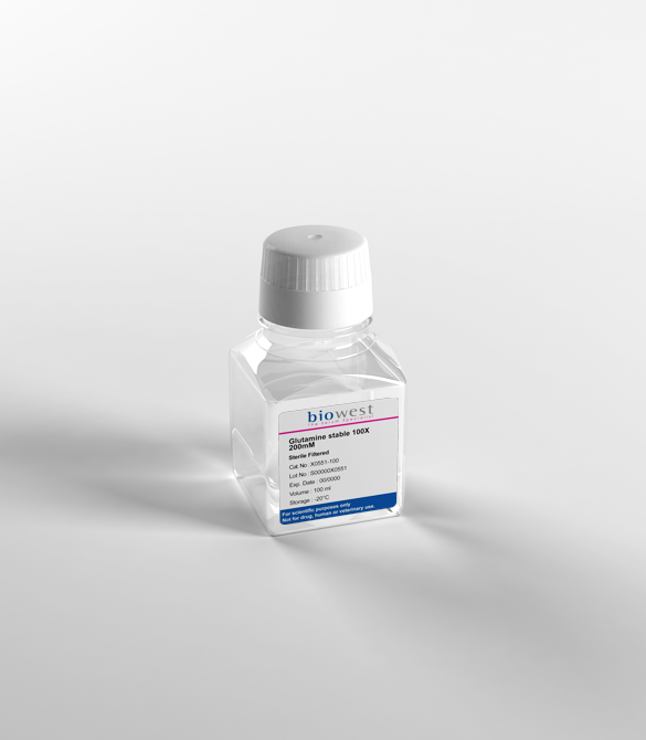 Glutamine stable 100X, 200mM