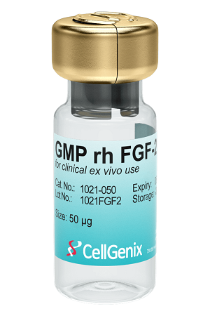 GMP級 rHu FGF-2